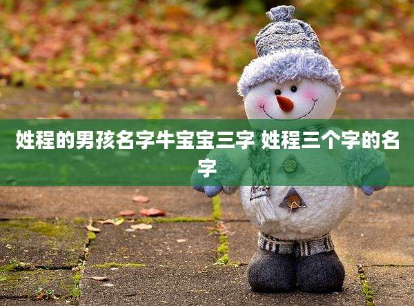 姓程的男孩名字牛宝宝三字 姓程三个字的名字
