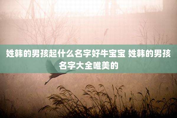 姓韩的男孩起什么名字好牛宝宝 姓韩的男孩名字大全唯美的