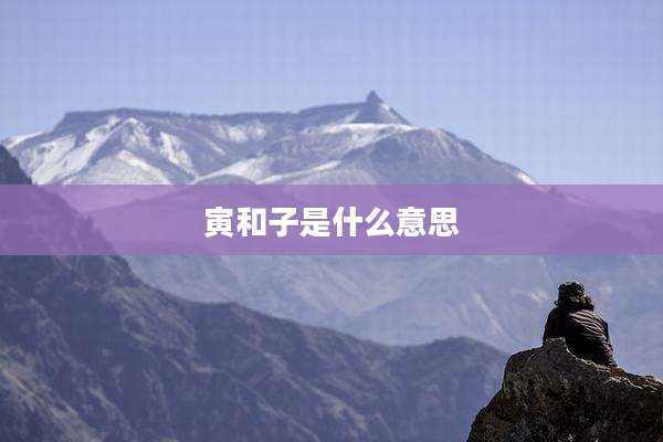 寅和子是什么意思