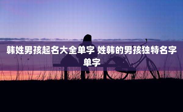 韩姓男孩起名大全单字 姓韩的男孩独特名字单字