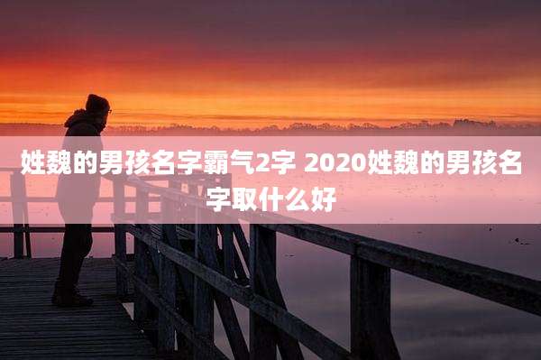 姓魏的男孩名字霸气2字 2020姓魏的男孩名字取什么好