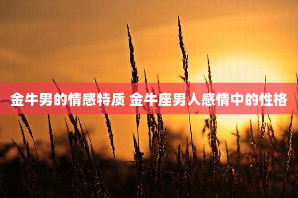 金牛男的情感特质 金牛座男人感情中的性格