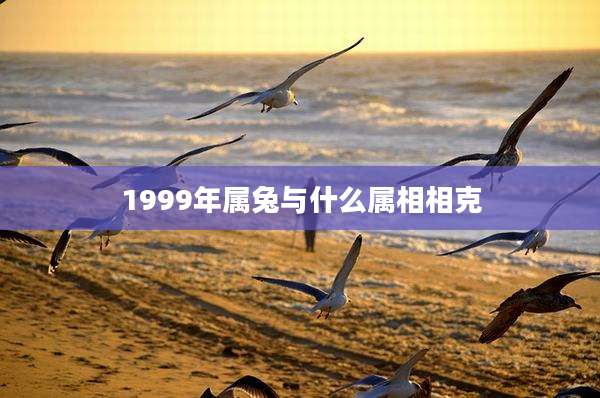 1999年属兔与什么属相相克
