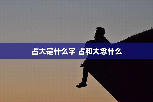 占大是什么字 占和大念什么