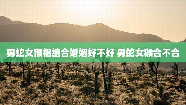 男蛇女猴相结合婚姻好不好 男蛇女猴合不合