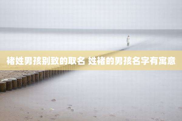褚姓男孩别致的取名 姓褚的男孩名字有寓意