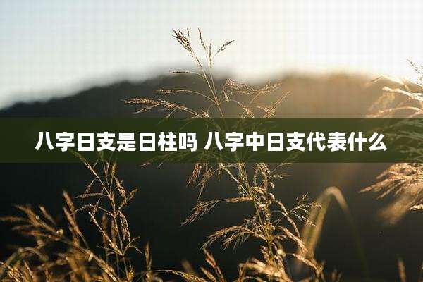 八字日支是日柱吗 八字中日支代表什么