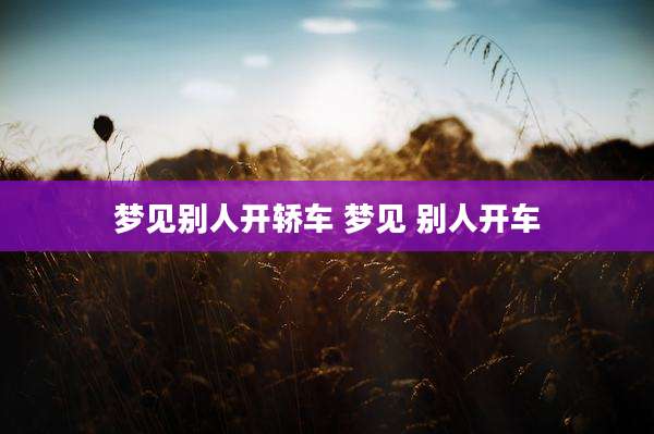 梦见别人开轿车 梦见 别人开车