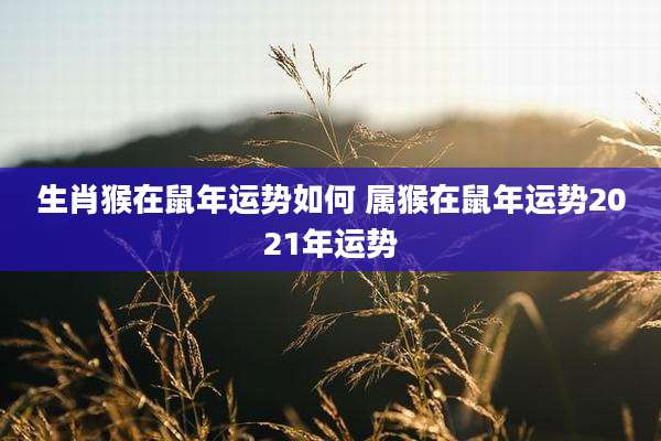 生肖猴在鼠年运势如何 属猴在鼠年运势2021年运势