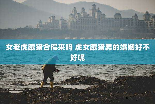 女老虎跟猪合得来吗 虎女跟猪男的婚姻好不好呢
