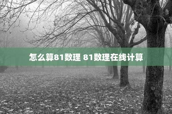 怎么算81数理 81数理在线计算