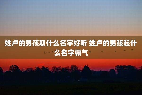 姓卢的男孩取什么名字好听 姓卢的男孩起什么名字霸气