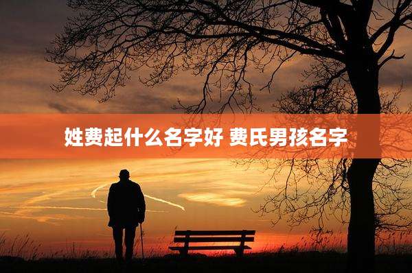 姓费起什么名字好 费氏男孩名字