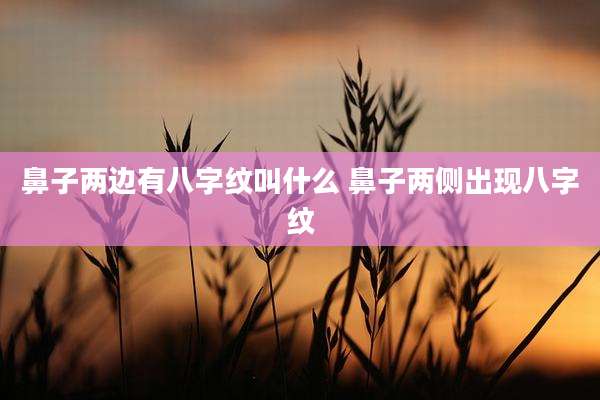 鼻子两边有八字纹叫什么 鼻子两侧出现八字纹
