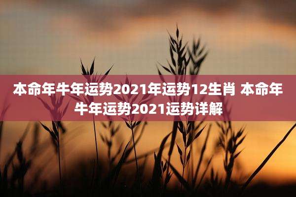 本命年牛年运势2021年运势12生肖 本命年牛年运势2021运势详解
