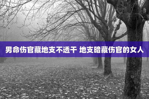 男命伤官藏地支不透干 地支暗藏伤官的女人