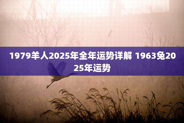 1979羊人2025年全年运势详解 1963兔2025年运势