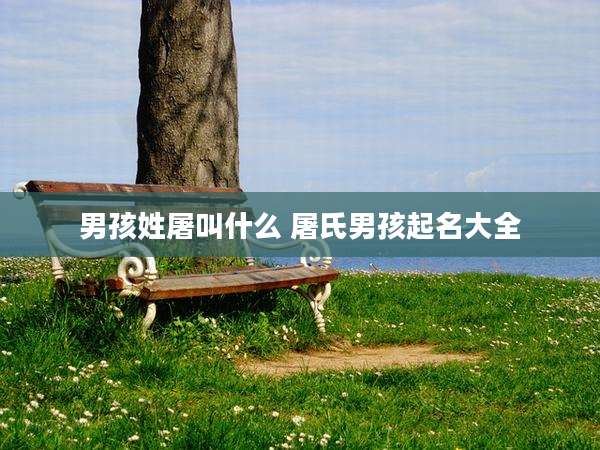 男孩姓屠叫什么 屠氏男孩起名大全