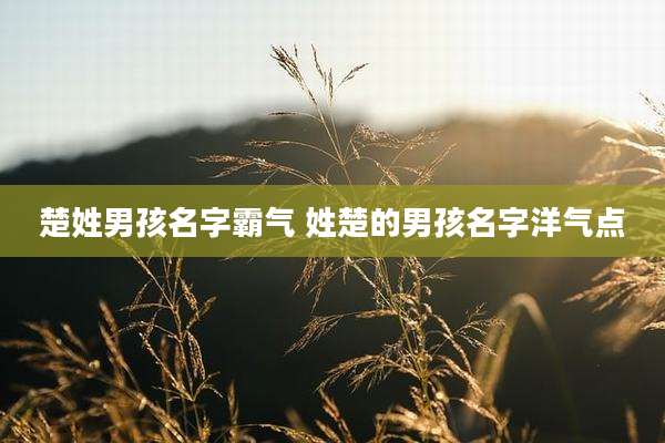 楚姓男孩名字霸气 姓楚的男孩名字洋气点