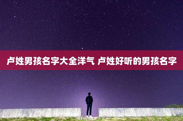 卢姓男孩名字大全洋气 卢姓好听的男孩名字