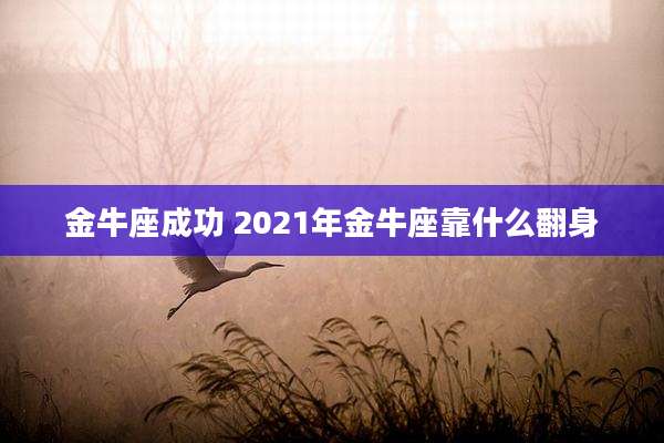 金牛座成功 2021年金牛座靠什么翻身