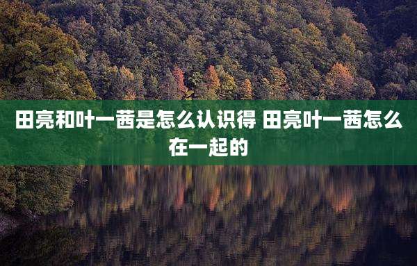 田亮和叶一茜是怎么认识得 田亮叶一茜怎么在一起的