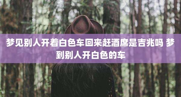梦见别人开着白色车回来赶酒席是吉兆吗 梦到别人开白色的车