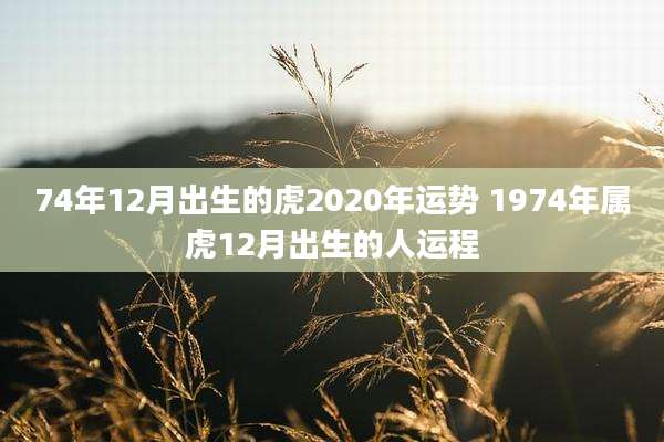 74年12月出生的虎2020年运势 1974年属虎12月出生的人运程