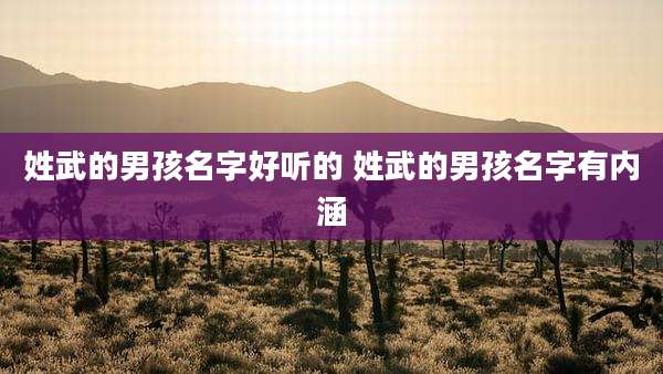 姓武的男孩名字好听的 姓武的男孩名字有内涵