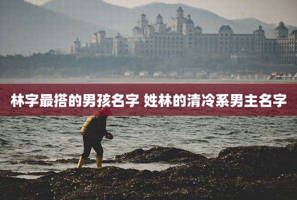 林字最搭的男孩名字 姓林的清冷系男主名字