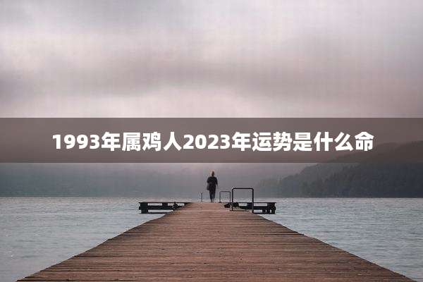 1993年属鸡人2023年运势是什么命