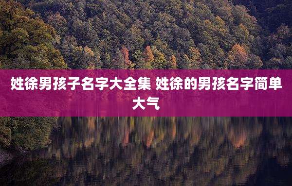 姓徐男孩子名字大全集 姓徐的男孩名字简单大气