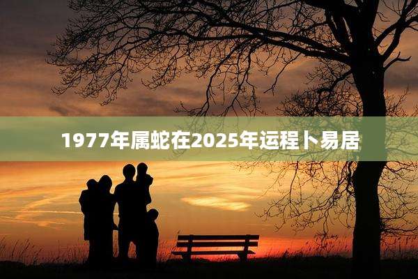 1977年属蛇在2025年运程卜易居