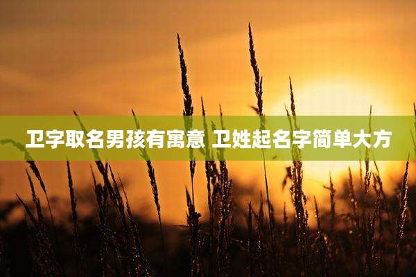 卫字取名男孩有寓意 卫姓起名字简单大方