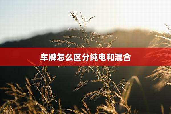 车牌怎么区分纯电和混合