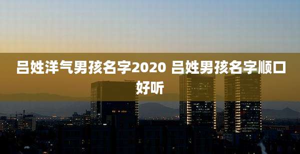 吕姓洋气男孩名字2020 吕姓男孩名字顺口好听