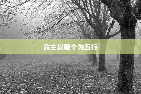命主以哪个为五行