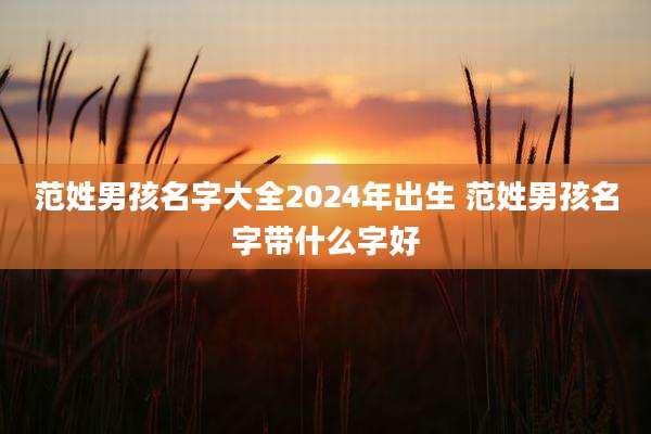 范姓男孩名字大全2024年出生 范姓男孩名字带什么字好
