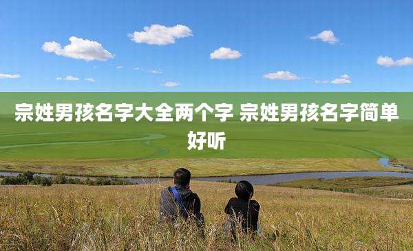 宗姓男孩名字大全两个字 宗姓男孩名字简单好听