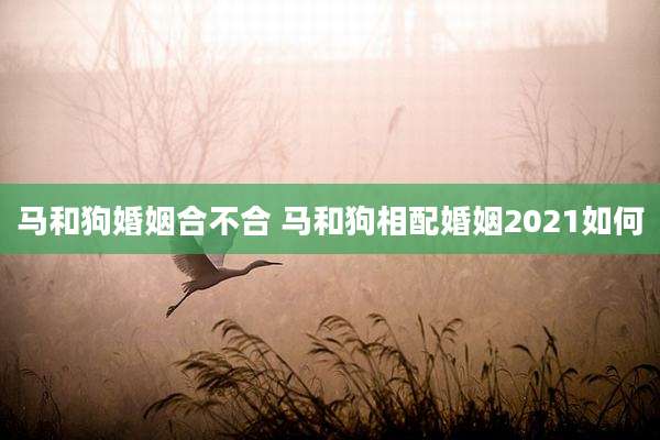 马和狗婚姻合不合 马和狗相配婚姻2021如何