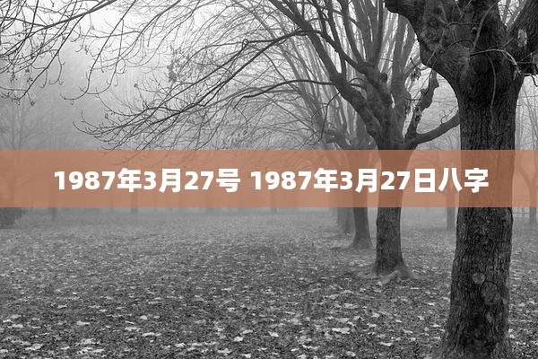 1987年3月27号 1987年3月27日八字