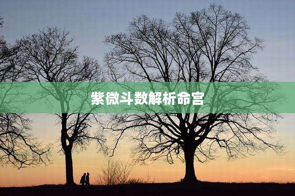 紫微斗数解析命宫