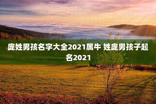 庞姓男孩名字大全2021属牛 姓庞男孩子起名2021