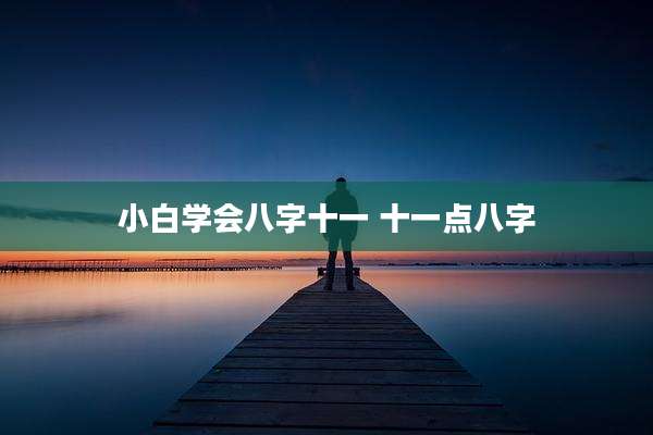 小白学会八字十一 十一点八字