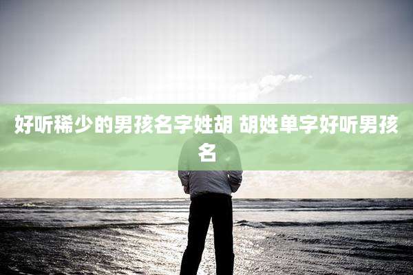 好听稀少的男孩名字姓胡 胡姓单字好听男孩名