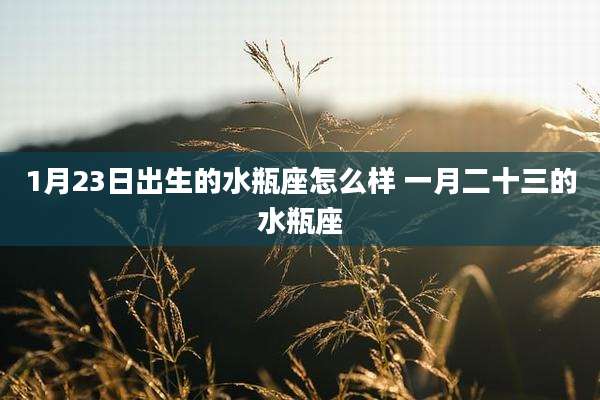 1月23日出生的水瓶座怎么样 一月二十三的水瓶座