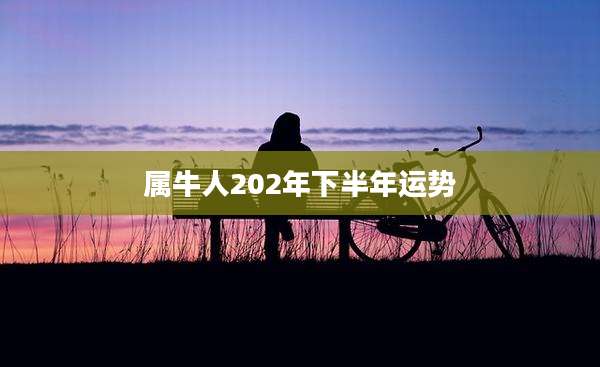 属牛人202年下半年运势
