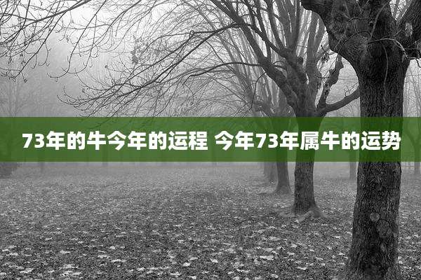 73年的牛今年的运程 今年73年属牛的运势