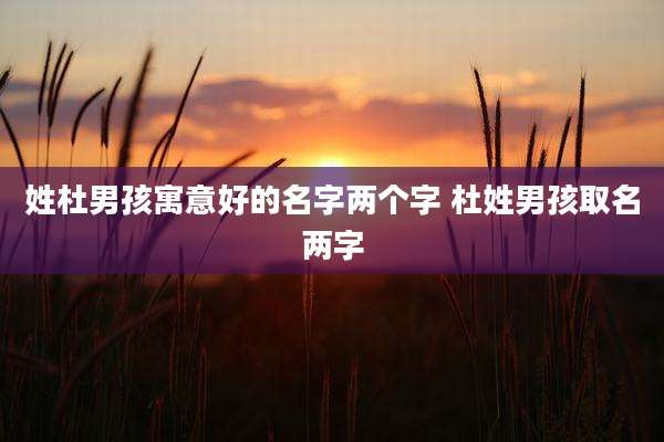 姓杜男孩寓意好的名字两个字 杜姓男孩取名两字