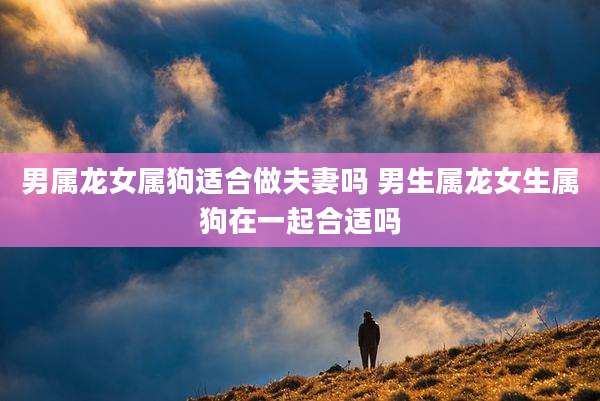 男属龙女属狗适合做夫妻吗 男生属龙女生属狗在一起合适吗
